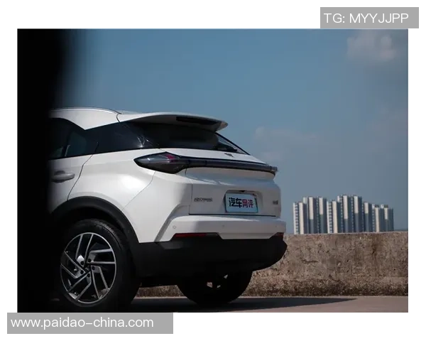 姚明携手Smart汽车展现运动精神与科技魅力的完美结合